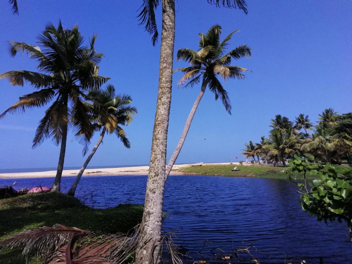 Marari Lotus Beach Villa Mararikulam Bagian luar foto
